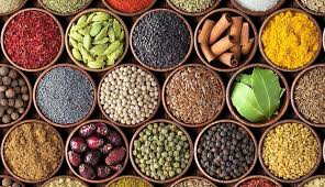 Kerala Hydel Tourism Sales Outlet