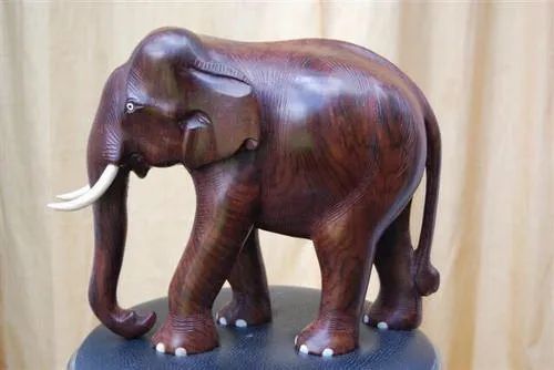 Kerala Hydel Tourism Sales Outlet